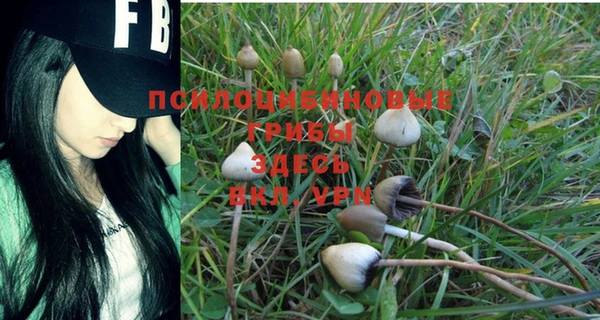 кокаин перу Алексин