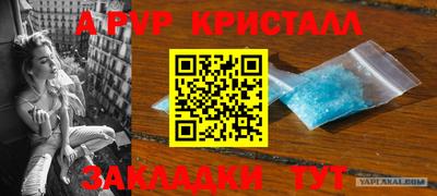 прущие грибы Волгодонск