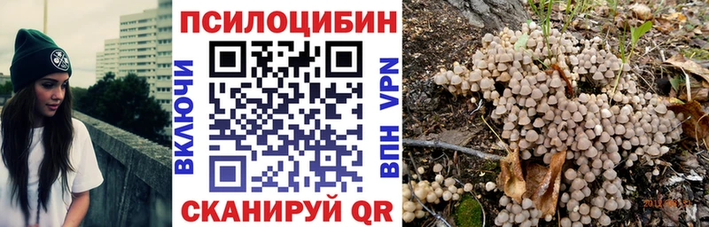 Псилоцибиновые грибы MAGIC MUSHROOMS  Борзя 